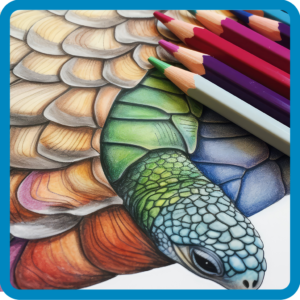 Colored Pencils
